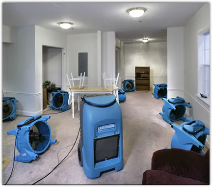 Drying & Dehumidification in Hawthorn Woods, IL