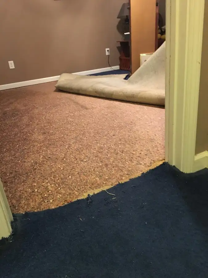Carpet pad removal revealing water damage during Drying & Dehumidification in Hawthorn Woods