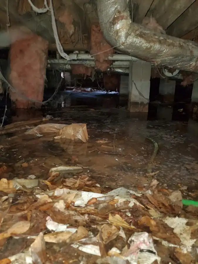 Crawl space flood assessment for Commercial Water Damage Restoration in Hawthorn Woods