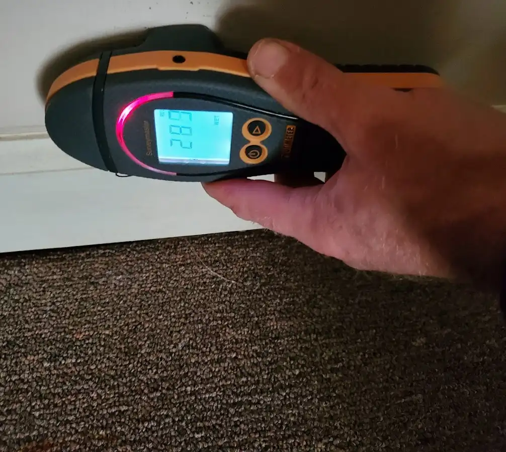 Moisture detection at baseboard during Sewage Cleanup & Sanitation in Hawthorn Woods